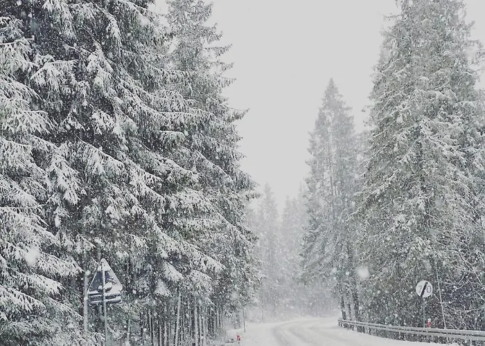 Siumno Izba Brzegi 3* Brzegi (Garwolin)