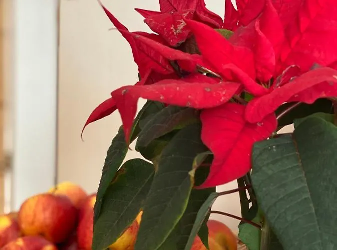 Nocleg ze śniadaniem Siumno Izba Brzegi Brzegi (Garwolin)